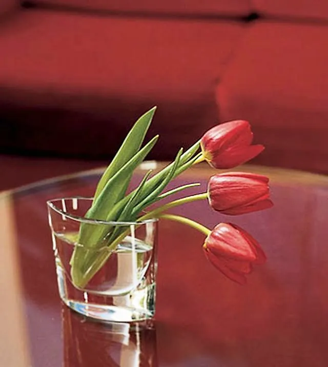 Westend Hotel Münih